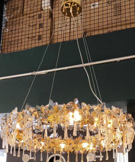 صورة ثريا 10258